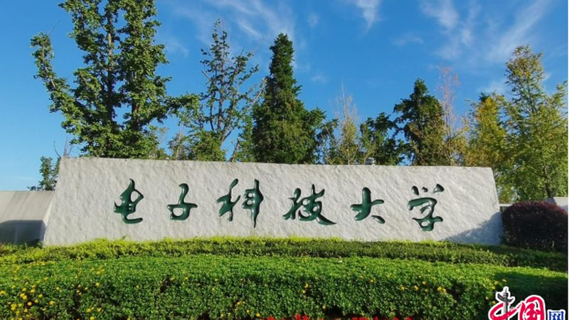成都电子模块与芯片市场的差异解析